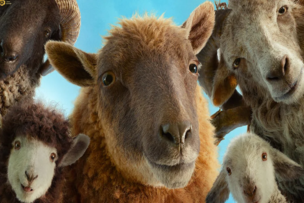 The Sheep Detectives 