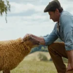 The Sheep Detectives 