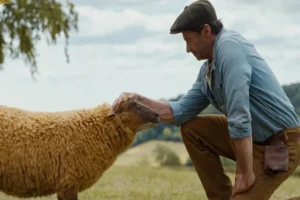 The Sheep Detectives 