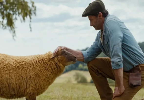 The Sheep Detectives 